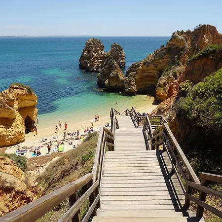 Casa Palmeira Daire *