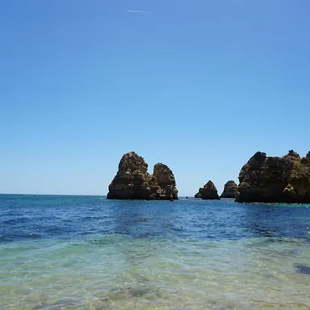 Apartamento Casa Palmeira