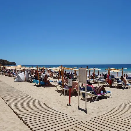 Apartamento Casa Palmeira *