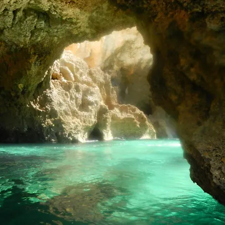 Apartamento Casa Palmeira *