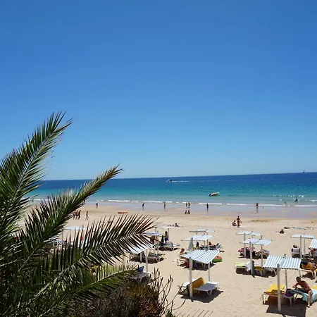 Casa Palmeira Лагуш