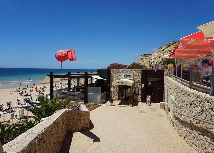 Casa Palmeira *